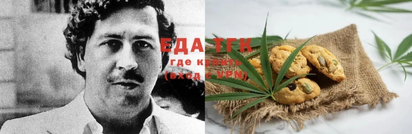 индика Белокуриха