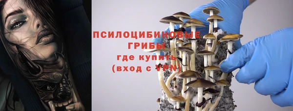 сатива Белоозёрский
