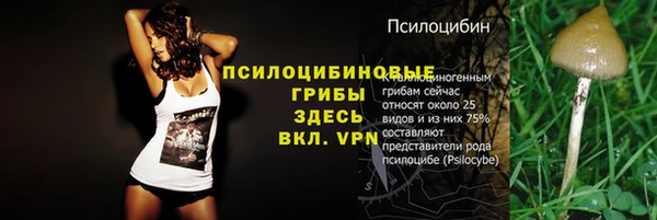 индика Белокуриха