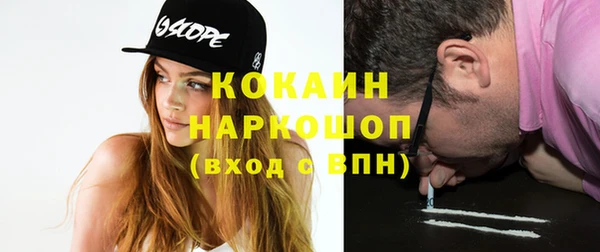 индика Белокуриха