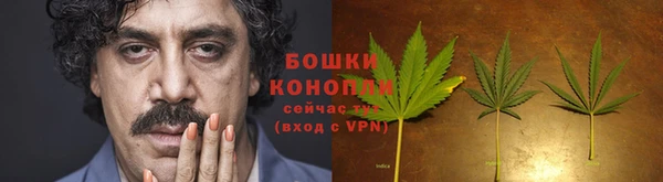 сатива Белоозёрский