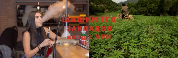 сатива Белоозёрский
