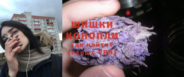 индика Белокуриха