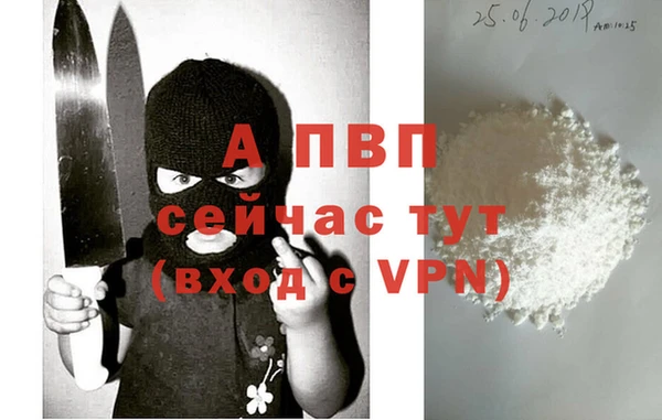 индика Белокуриха
