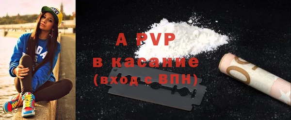 индика Белокуриха
