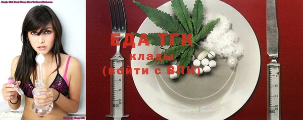 индика Белокуриха