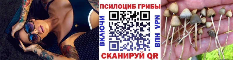 Псилоцибиновые грибы Magic Shrooms  Дигора 